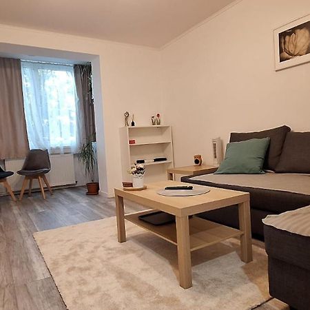 Enci House Apartment Târgu-Mureş Zewnętrze zdjęcie